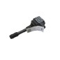 Bobine accensione RENAULT Scenic Serie dal 09 al 16