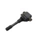 Bobine accensione RENAULT Scenic Serie dal 09 al 16