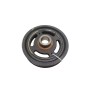 Puleggia albero motore RENAULT Scenic Serie dal 09 al 16