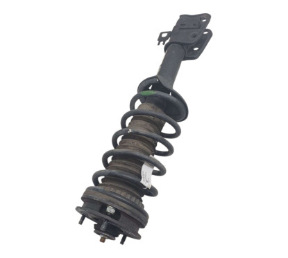 Ammortizzatore posteriore SX LAND ROVER Freelander 2° Serie - RPD102190 - 2782311