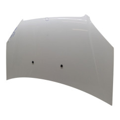 Cofano Anteriore FIAT Doblo Cargo dal 05 al 09 - 51841326 - 2909353