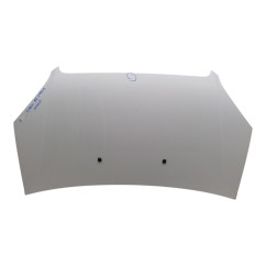 Cofano Anteriore FIAT Doblo Cargo dal 05 al 09 - 51841326 - 2909353