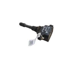 Bobine accensione RENAULT Scenic Serie dal 09 al 16