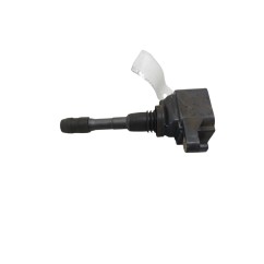 Bobine accensione RENAULT Scenic Serie dal 09 al 16 - 224337085R - 3593364