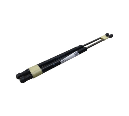 Pistoncini cofano Post. FIAT Panda 3° Serie