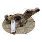 Montante sospensione ANT. SX MITSUBISHI Pajero Pinin