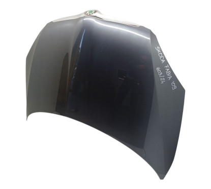 Cofano Anteriore SKODA Fabia S. Wagon 2° Serie