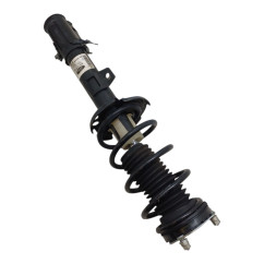 Ammortizzatore Anteriore Sinistro FORD EcoSport Serie dal 12 - 2567190 - 2840013