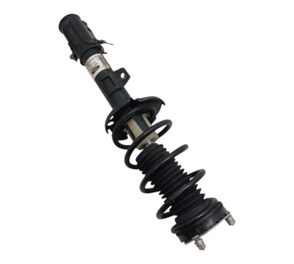 Ammortizzatore Anteriore Sinistro FORD EcoSport Serie dal 12
