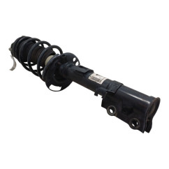 Ammortizzatore Anteriore Sinistro FORD EcoSport Serie dal 12 - 2567190 - 2840013