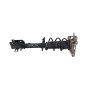 Ammortizzatore posteriore SX JEEP Compass Serie dal 16