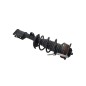 Ammortizzatore Anteriore destro JEEP Compass Serie dal 16