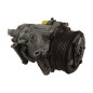 Compressore A/C FIAT Scudo 3° Serie