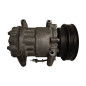 Compressore A/C RENAULT Clio Serie dal 04 al 08