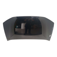 Cofano Anteriore HONDA Insight 1° Serie - 60100TM8A00ZZ - 2783605