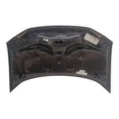 Cofano Anteriore HONDA Insight 1° Serie - 60100TM8A00ZZ - 2783605
