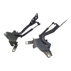 Cerniere cofano anteriore dx e sx RENAULT Scenic X MOD - 654012134R / 654006104R - 2689666