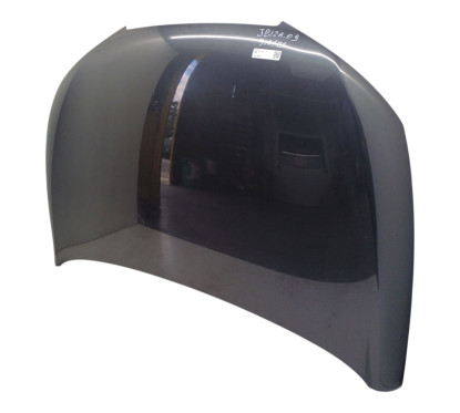 Cofano Anteriore SEAT Ibiza Serie dal 08 al 12