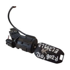 Blocchetto Accensione PEUGEOT 208 Serie dal 12 al 19