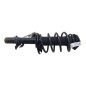 Ammortizzatore Anteriore Sinistro FORD Focus S. Wagon 6° Serie