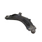 Braccio Oscillante Anteriore Sinistro RENAULT Kangoo 4° Serie