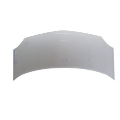 Cofano Anteriore RENAULT Kangoo 4° Serie - 7751478148 - 2973294