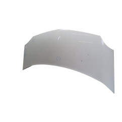 Cofano Anteriore RENAULT Kangoo 4° Serie - 7751478148 - 2973294