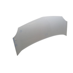 Cofano Anteriore RENAULT Kangoo 4° Serie - 7751478148 - 2973294