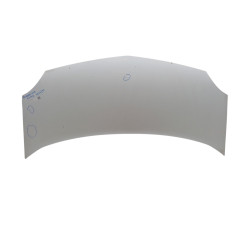 Cofano Anteriore RENAULT Kangoo 4° Serie - 7751478148 - 2953131