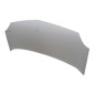 Cofano Anteriore RENAULT Kangoo 4° Serie
