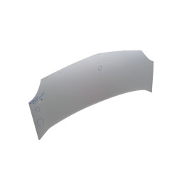 Cofano Anteriore RENAULT Kangoo 4° Serie - 7751478148 - 2953131