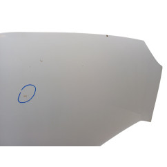 Cofano Anteriore RENAULT Kangoo 4° Serie - 7751478148 - 2953131
