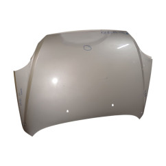 Cofano Anteriore KIA Rio 2° Serie - 66400FD100 - 2495678