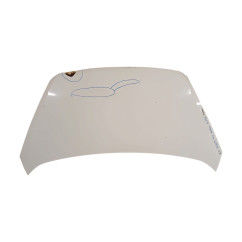 Cofano Anteriore KIA Picanto 3° Serie - 664001Y010 - 2495228