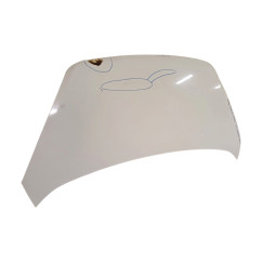 Cofano Anteriore KIA Picanto 3° Serie - 664001Y010 - 2495228