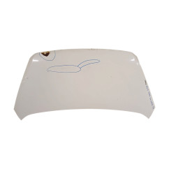 Cofano Anteriore KIA Picanto 3° Serie - 664001Y010 - 2495228