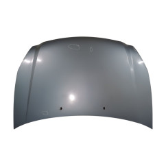 Cofano Anteriore KIA Carnival 3° Serie - 664004D010 - 2491539