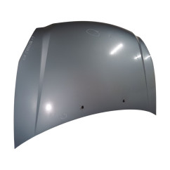 Cofano Anteriore KIA Carnival 3° Serie - 664004D010 - 2491539