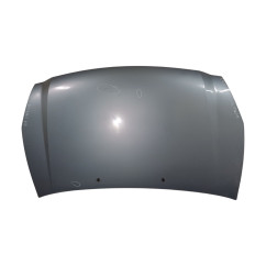 Cofano Anteriore KIA Carnival 3° Serie - 664004D010 - 2491539