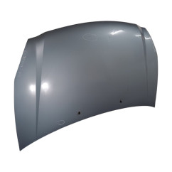 Cofano Anteriore KIA Carnival 3° Serie - 664004D010 - 2491539