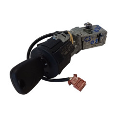 Blocchetto Accensione CITROEN C3 Picasso dal 08 - 4162PT - 2521250