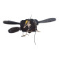 Devioluci CITROEN C3 Picasso dal 08