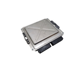 Centralina GPL RENAULT CLIO Serie V dal 19 - 169103189R - 3049436