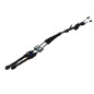 Corde cambio RENAULT CLIO Serie V dal 19