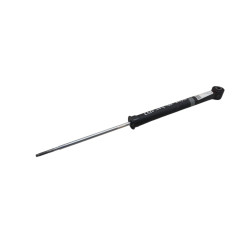 Ammortizzatore posteriore SX RENAULT CLIO Serie V dal 19 - 562103002R - 3052269