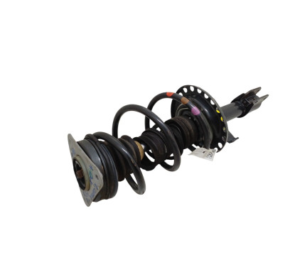 Ammortizzatore Anteriore destro RENAULT Captur Serie - 543020638R - 3059089