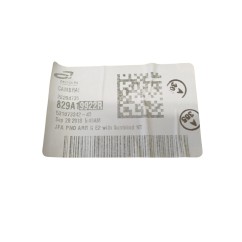 Pannello Posteriore Sinistro RENAULT Scenic Serie dal 16 - 829A19922R - 3609372