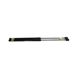 Pistoncini cofano Post. FORD Fiesta 6° Serie - 1666068 - 3088537