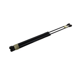 Pistoncini cofano Post. FORD Fiesta 6° Serie - 1666068 - 3088537