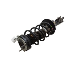 Ammortizzatore Anteriore Sinistro FORD Fiesta 6° Serie